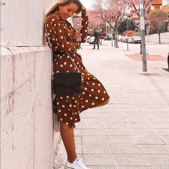 GORGEOUS ZARA NWT Polka Dot Brown Dress - Picture 5 of 7